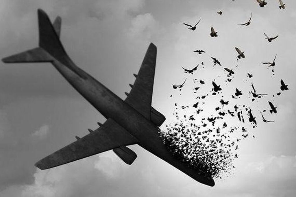 ۱۸ دی شلیک به پرواز 752 هواپیمایی اوکراین [1398 خورشیدی]