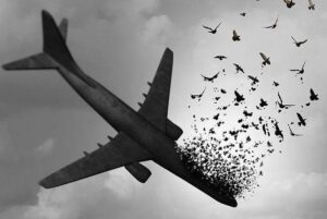 ۱۸ دی شلیک به پرواز 752 هواپیمایی اوکراین [1398 خورشیدی]