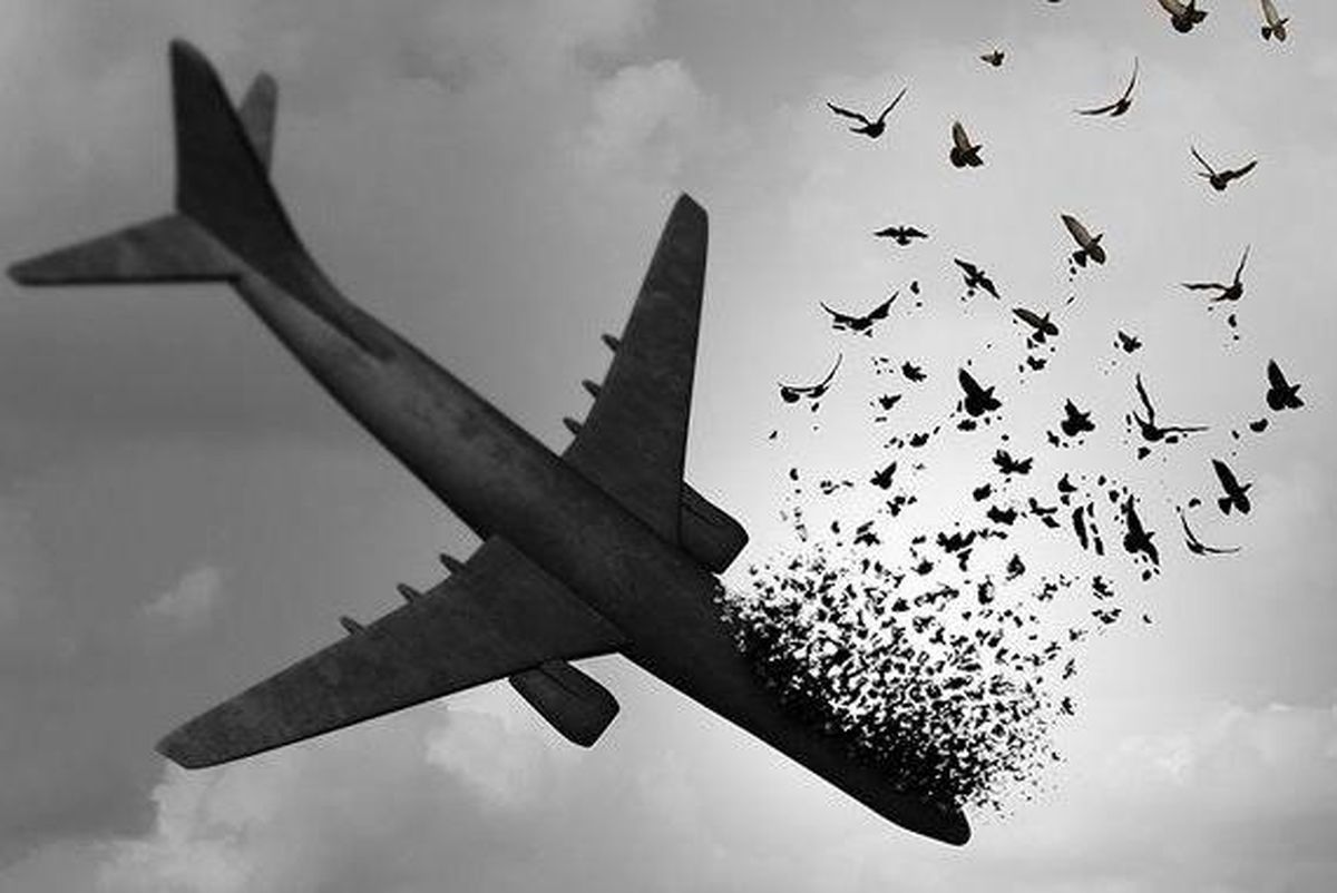 ۱۸ دی شلیک به پرواز 752 هواپیمایی اوکراین [1398 خورشیدی]